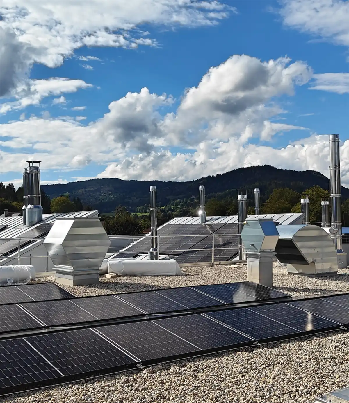 ICS Kaminanalage Industrie